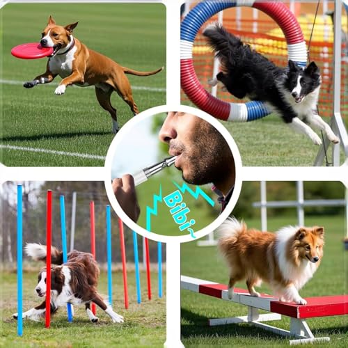 2 Pack Ultrasonic Dog Whistle for Quiet Barking Control, Professional Training Tool with Lanyard (White and Black)