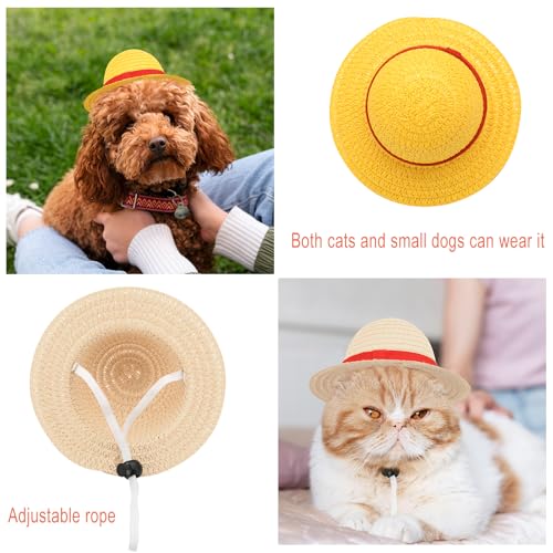 Halloween Straw Hat Costume for Small Pets